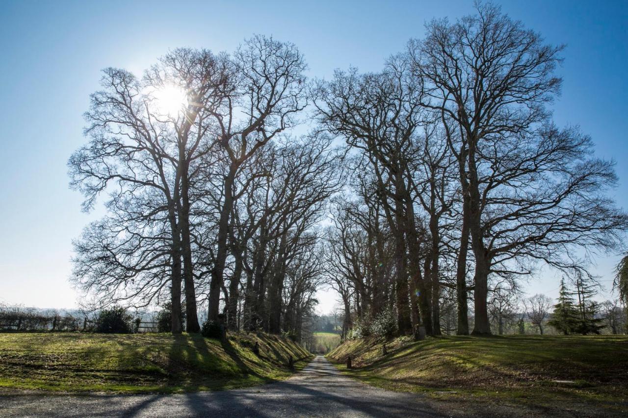 Chateau Des Monts Barbeville Buitenkant foto